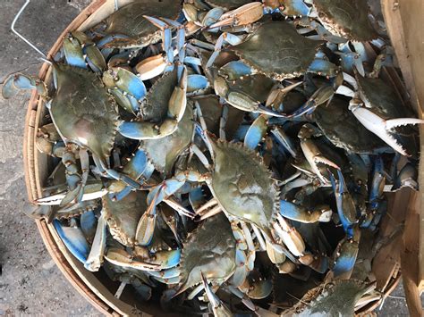 Captain White's Seafood City in Washington DC reopens its doors 7