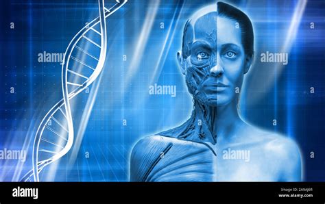 Resumen Antecedentes La anatomía del cuerpo humano y el ADN músculo