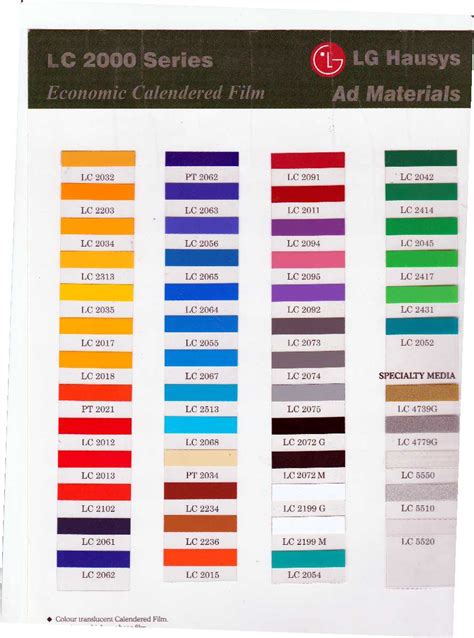 vinyl  wall colours braenchild collective