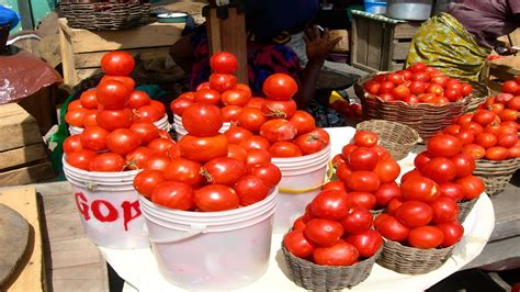 Tomato Prices Skyrocket Beyond Rs 100kg In Several Cities Along With