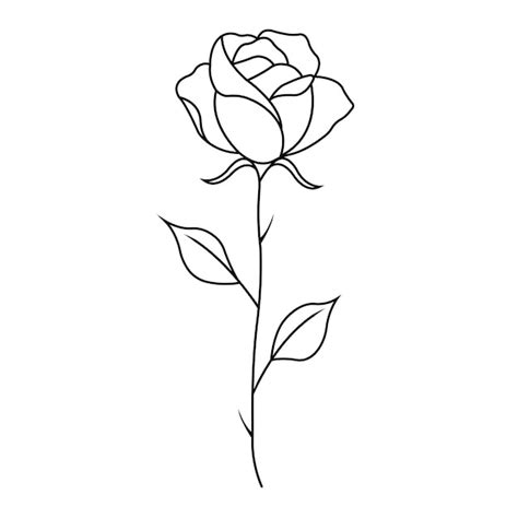 Rose Vector Outline