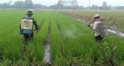 Kementan Stakeholder Bahas Revisi Permentan Pendaftaran Pestisida