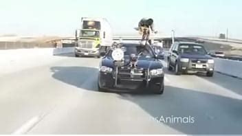 Vidéos de Sexe Sex senporno Xxx Video Mr Porno