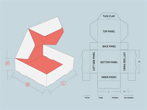 What is a Dieline? How to Make a Dieline for Packaging and Printing