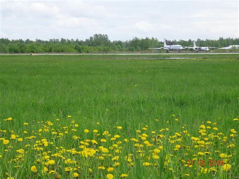 Kubinka, Russia: All You Must Know Before You Go (2024) - Tripadvisor