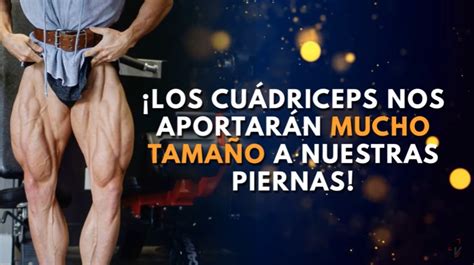 El Mejor Entrenamiento Para Cu Driceps Explicado Con Ciencia