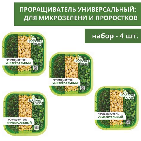Здоровья клад Проращиватель семян - купить с доставкой по выгодным ...