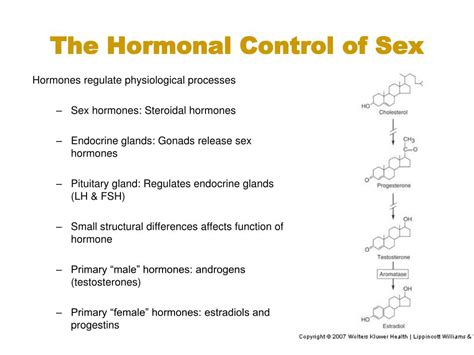 PPT Topic 18 Sex And The Brain Lange PowerPoint Presentation Free