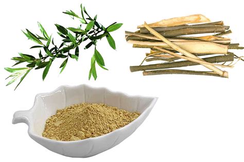 White Willow Bark Extract Standardized To 25 Salicin