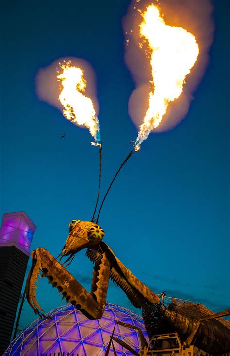 Guía Completa para Visitar Downtown Container Park, Las Vegas, Estados