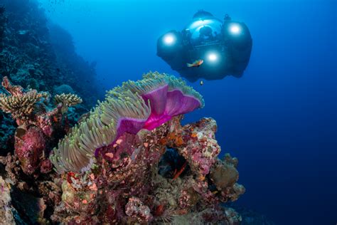 deep sea submersible image eurekalert science news releases