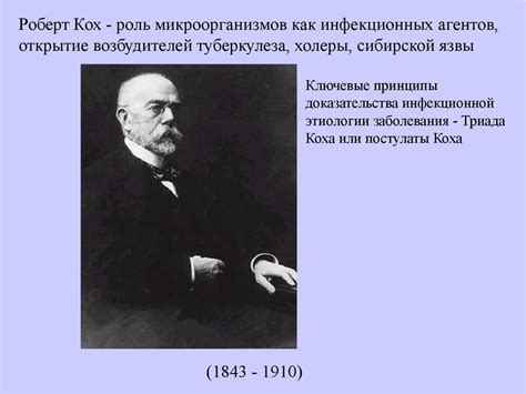 История иммунологии (иммунология, лекция 1) - презентация онлайн