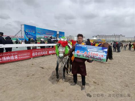 海北州“青海骢杯”青海湖青海骢马超级联赛女子土种走马1000米获奖马匹介绍 海北新闻网 青海新闻网