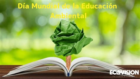 Educación Ambiental Youtube