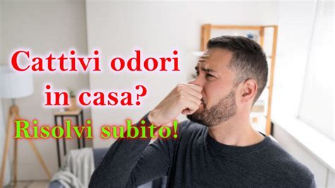 Cattivi Odori In Casa Ti Suggeriamo Due Opzioni