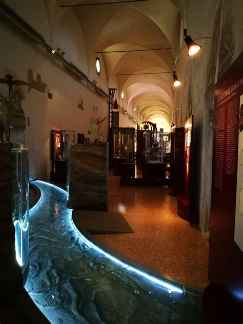 A Rovigo Il Museo Dei Grandi Fiumi Museo Fiume Xvii Secolo