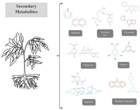 Pharmaceuticals Free Full Text Use Of Medicinal Plants In The