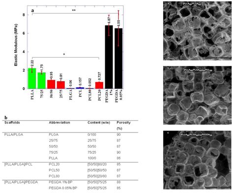 Scaffold Composition Versus Elastic Modulus Porosity And Morphology Download Scientific