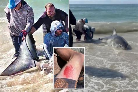 Particle News: North Carolina Fishermen Make Historic Great White Shark