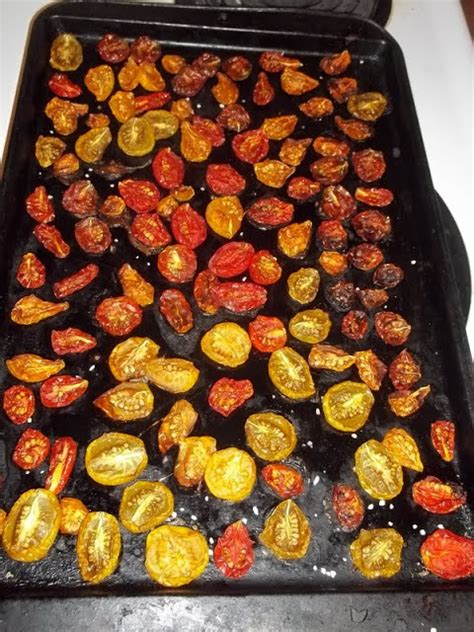 preserving tomatoes urbantomato