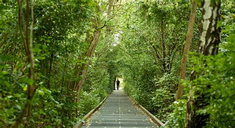 giardini parchi  boschi urbani nel mondo il giardino boscoso del prinz