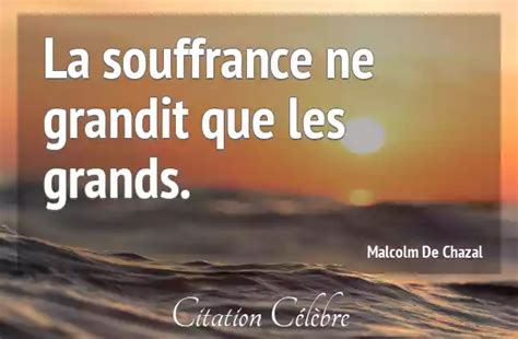 Citation Malcolm De Chazal Souffrance La Souffrance Ne Grandit Que