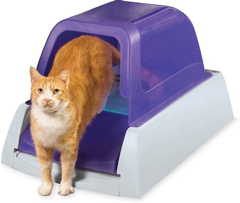 ScoopFree Ultra Automatic Cat Litter Box Purple Chewy