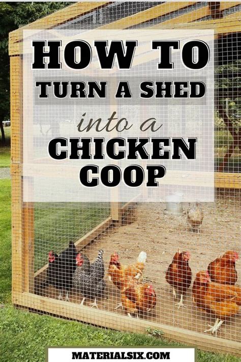 How To Turn A Shed Into A Chicken Coop Follow These Steps In