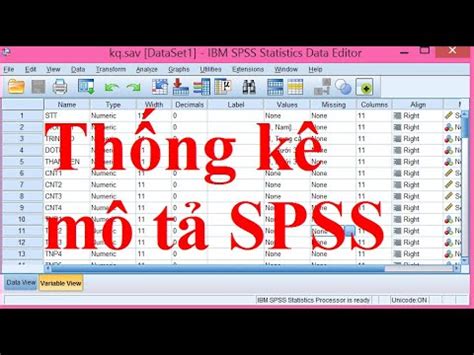 Hướng dẫn cách chạy thống kê mô tả trong SPSS Hỗ trợ SPSS Nhóm MBA