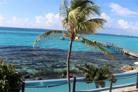 El Gran Arrecife De Coral En Quintana Roo Parque Garrafón Garrafón