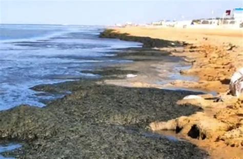 «Пока купайтесь в этом дерьмище!» Блогер из Анапы показал, что ...