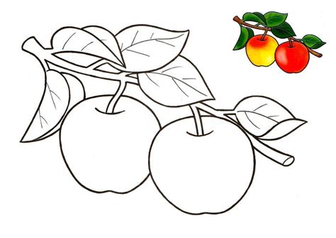 Раскраска яблоко | Раскраски для детей распечатать бесплатно в формате А4