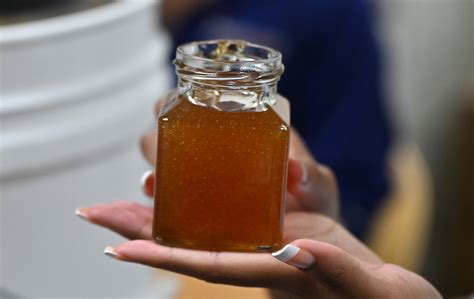 'You're a beekeeper': Students conquer their fears in this scary but