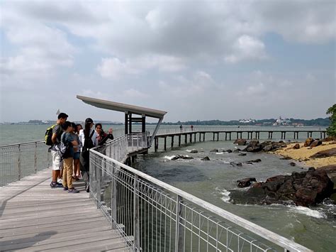 Adventures With The Naked Hermit Crabs