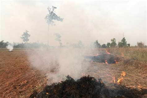 Premium Photo Fire Is Burning Hay In The Dry Season