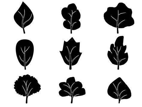 Black Branch Tree Or Naked Trees Silhouettes Set Hand Drawn Isolated