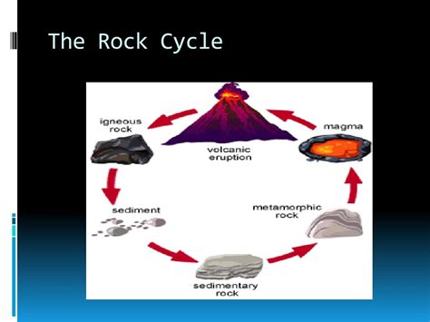 PPT - The rock cycle PowerPoint Presentation, free download - ID:355969
