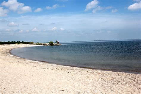 Volunteers invited to help keep Maumee Bay State Park beach barefoot friendly | UToledo News