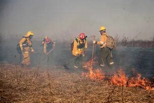 Ecocidio En El Delta Rosario Lucha Por Los Incendios En Los Humedales