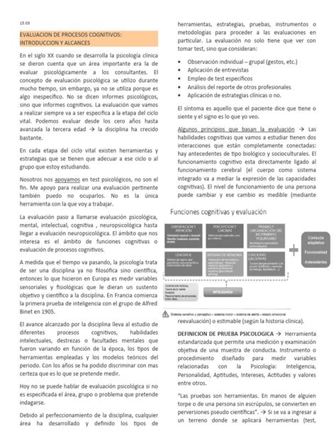 Evaluacion De Procesos Cognitivos Pdf