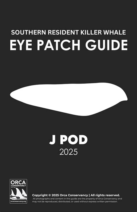 Southern Resident Killer Whales Eye Patch Guide — Orca Conservancy