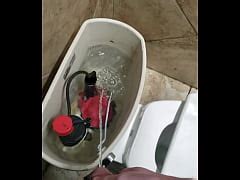 Pissing Inside Toilet Free Mobile Porn Videos IPornTV