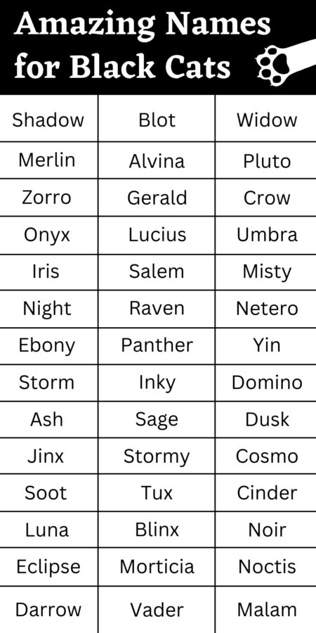 Black Cat Names Female