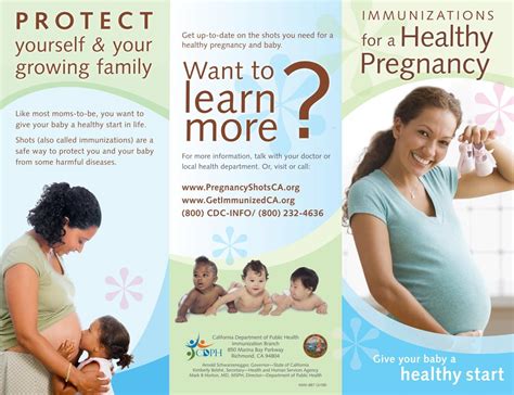 pregnancy brochure humboldt health alert