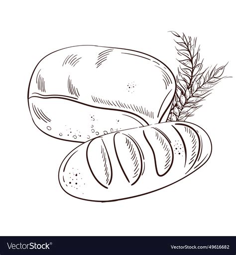 bakery background linear graphic bread royalty  vector