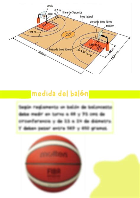 Solution Seg N Reglamento Un Bal N De Baloncesto Debe Medir En Torno A