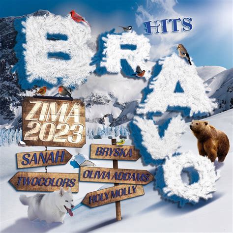 P Yta Various Artists Bravo Hits Zima Cd Sklepy