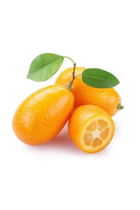 Kumquat Mandarino Cinese Vendita Pianta Online Alberidafrutto