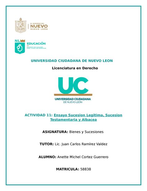 Ensayo Bienes Y Sucesiones Universidad Ciudadana De Nuevo Leon