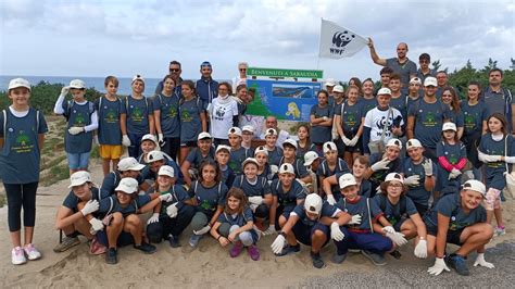 Wwf E Fiamme Gialle Al Lavoro Per Ripulire La Spiaggia Di Sabaudia Latina News
